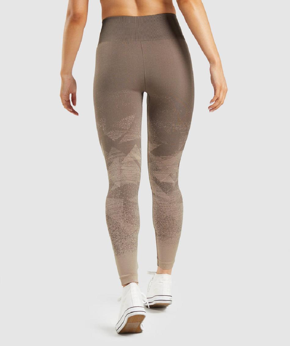 Gymshark Adapt Ombre Seamless Ženske Tajice Smeđe | HR 3984LIS